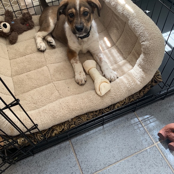 Meet the posher - Picture 3 of 5